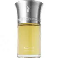 Liquides Imaginaires Succus - Eau Arborante, Luxurious Liquides Imaginaires Perfume with Mandarin orange Fragrance of The Year