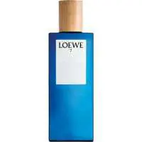 Loewe 7, 3rd Place! The Best Pepper Scented Loewe Perfume of The Year