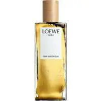 Loewe Aura Pink Magnolia, Most sensual Loewe Perfume with Magnolia Fragrance of The Year