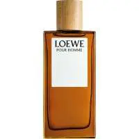 Loewe Loewe pour Homme, 2nd Place! The Best Basil Scented Loewe Perfume of The Year