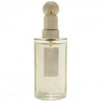 Montana Suggestion Eau d'Argent, Luxurious Montana Perfume with Bergamot Fragrance of The Year
