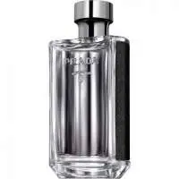 Prada L'Homme, Winner! The Best Overall Prada Perfume of The Year