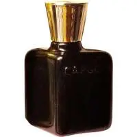 Roberto Capucci Anima Nera, 2nd Place! The Best  Scented Roberto Capucci Perfume of The Year