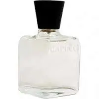 Roberto Capucci Evento Uomo, Compliment Magnet Roberto Capucci Perfume with Bergamot Fragrance of The Year