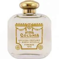 Santa Maria Novella Acqua della Regina, Long Lasting Santa Maria Novella Perfume with Citrus notes Fragrance of The Year
