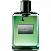 Viktor & Rolf Antidote, Long Lasting Viktor & Rolf Perfume with Bergamot Fragrance of The Year
