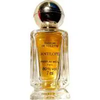 Weil Antilope, 2nd Place! The Best Aldehydes Scented Weil Perfume of The Year