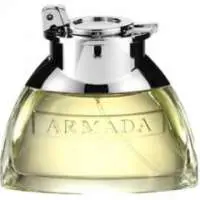 Yves de Sistelle Armada Black, Long Lasting Yves de Sistelle Perfume with Citrus notes Fragrance of The Year