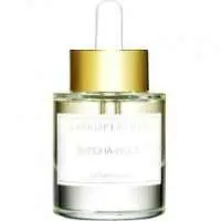 Zarkoperfume Buddha-Wood, Compliment Magnet Zarkoperfume Perfume with False sandalwood Fragrance of The Year