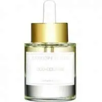 Zarkoperfume Oud-Couture, Most beautiful Zarkoperfume Perfume with Mandarin orange Fragrance of The Year